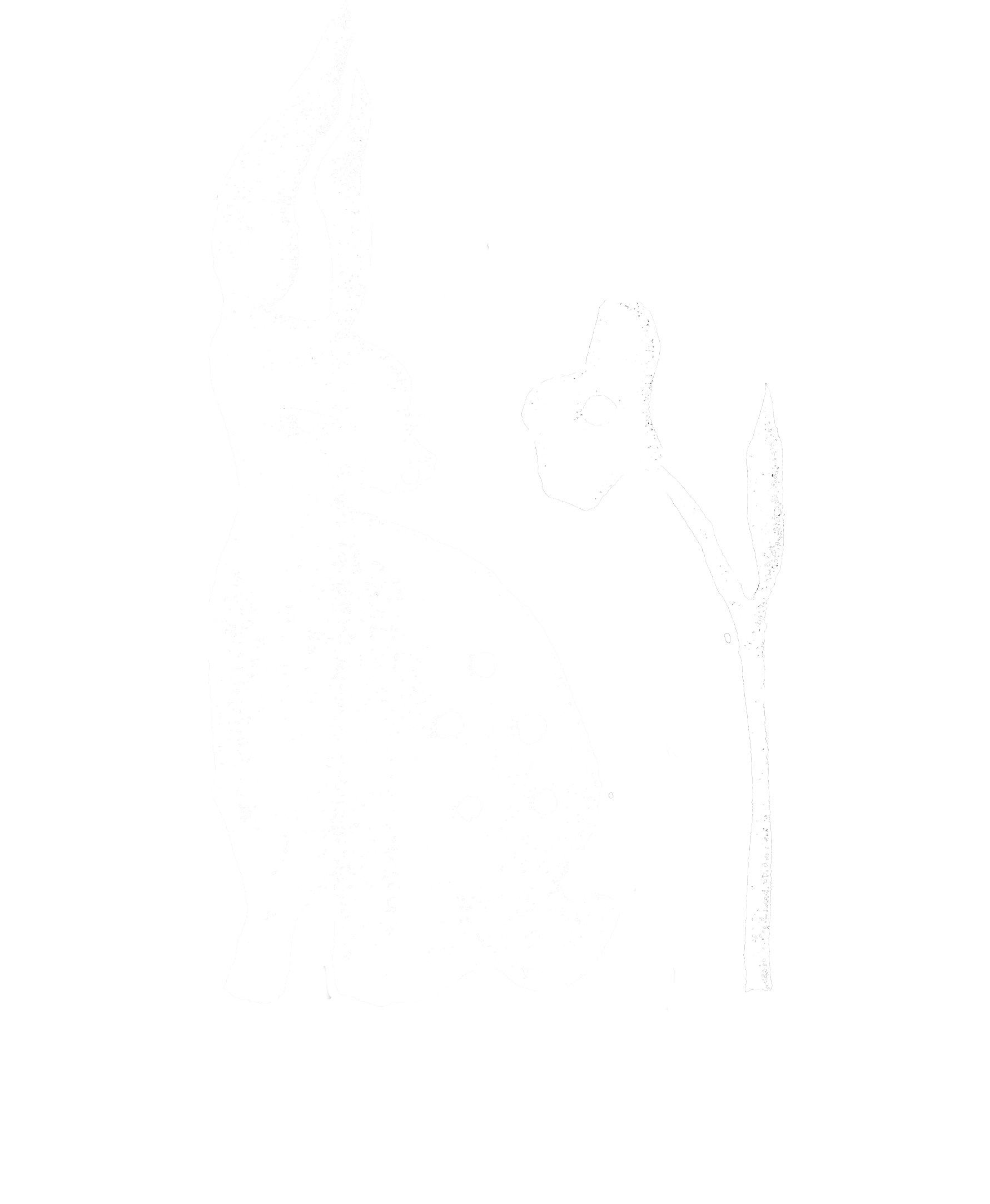 logo Buitenbloem