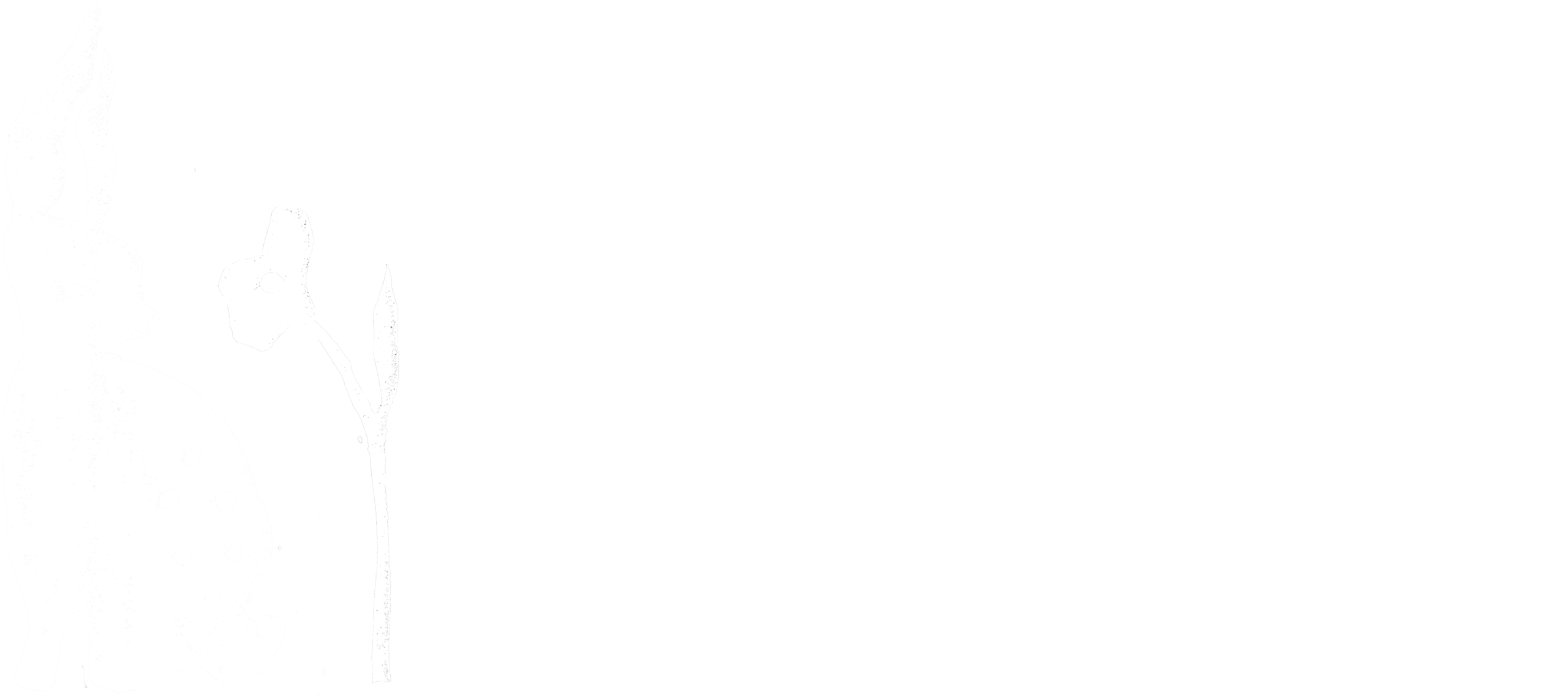 Buitenbloem