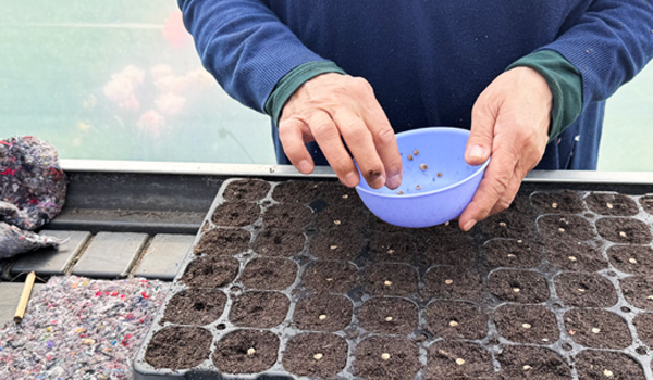 word je vrijwilliger bij buitenbloem? De bloementuin van Delft.