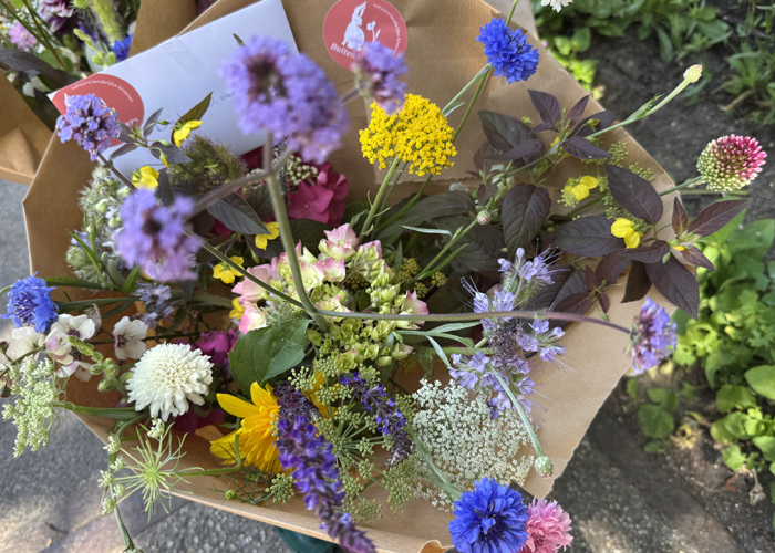 gifvrij boeket Delft, Buitenbloem