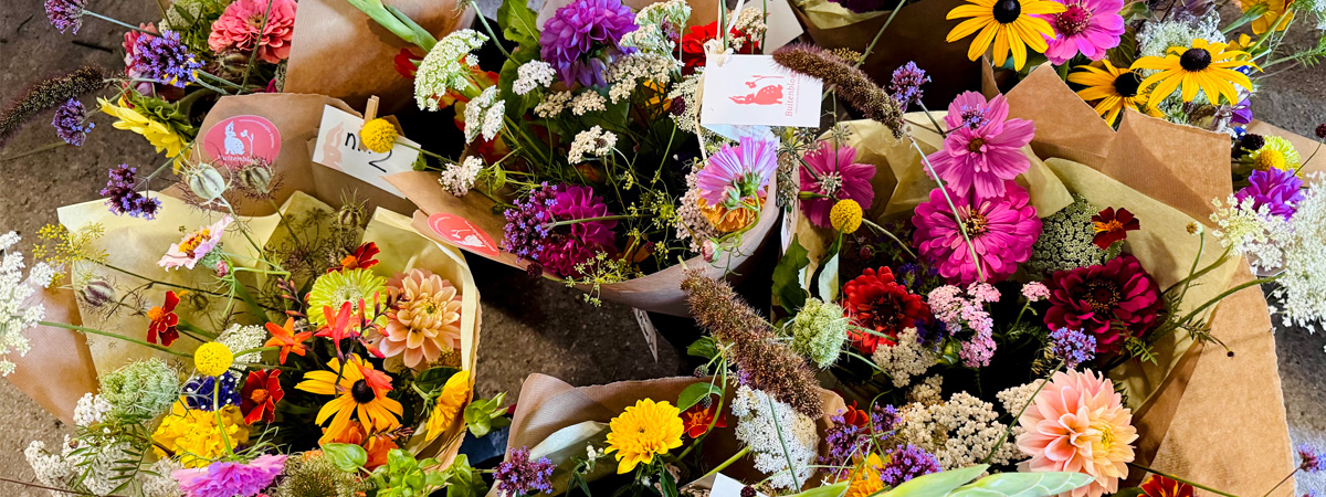 duurzame bloemen, cadeaubon, veldboeket, gifvrij, delft, buitenbloem