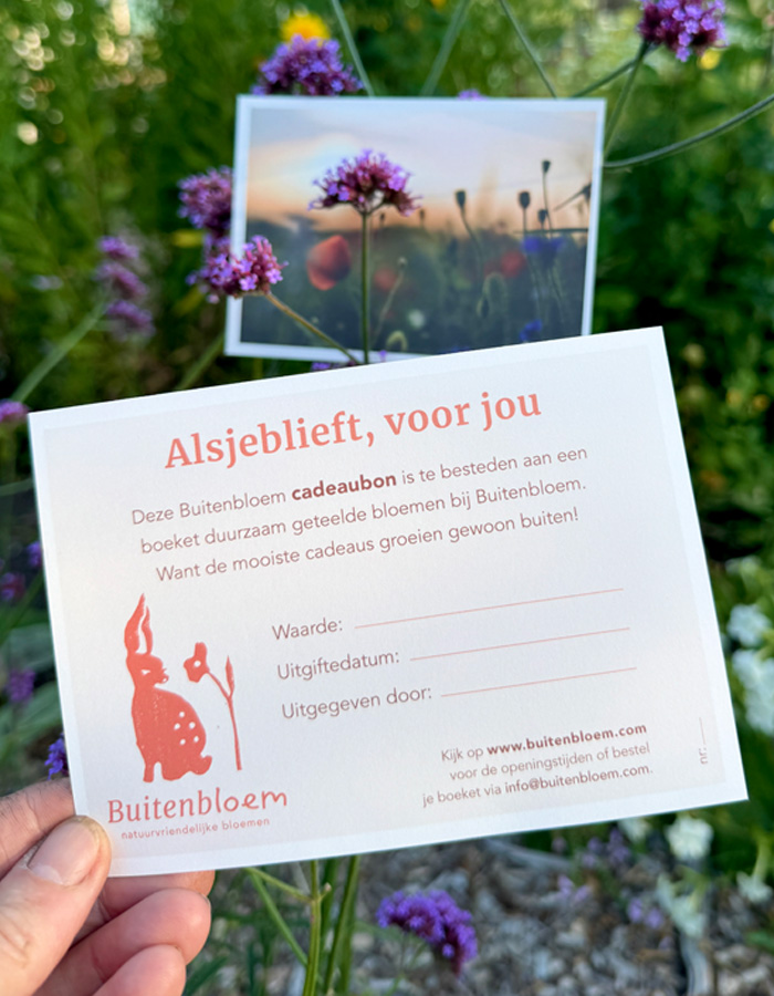 cadeaubon Buitenbloem Delft