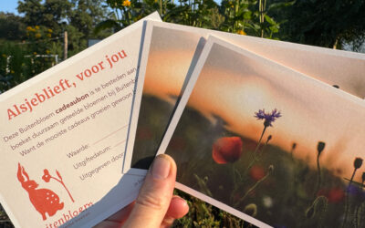 Nieuw: de Buitenbloem cadeaubon!