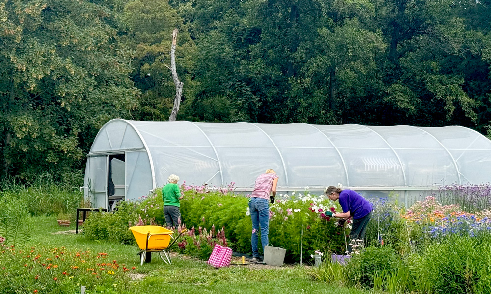 sponsors buitenbloem bedankt, pluktuin, foliekas, natuurvriendelijk